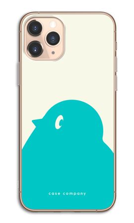 BIG Robin 1