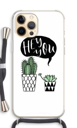 Hey you cactus