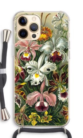 Haeckel Orchidae