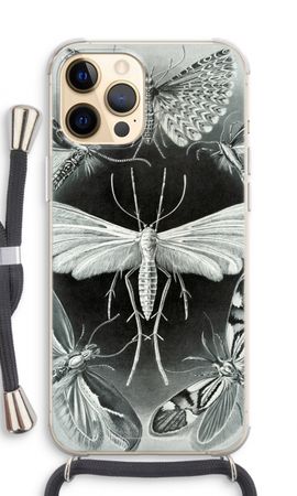 Haeckel Tineida