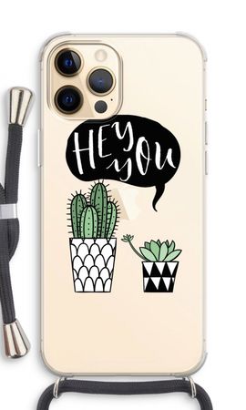 Hey you cactus