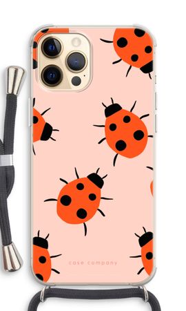 Ladybugs