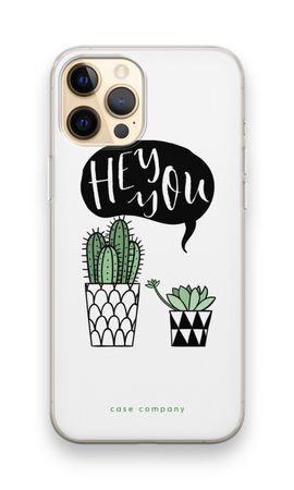 Hey you cactus