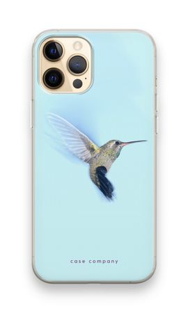 Kolibri