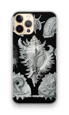 Haeckel Prosobranchia