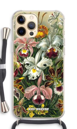 Haeckel Orchidae