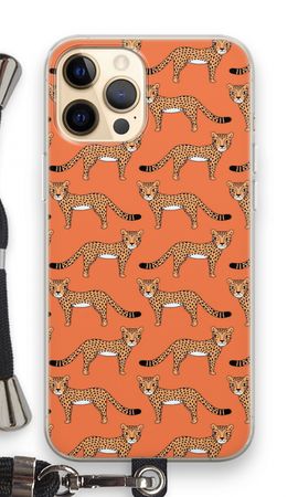 Cheetah