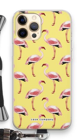 Flamingos yellow