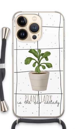 Houseplant on windowpane