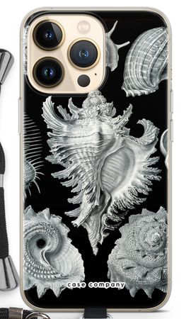 Haeckel Prosobranchia