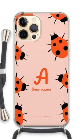 Ladybugs Monogram
