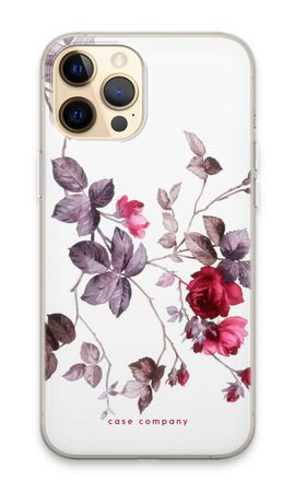 Splendidi Fiori