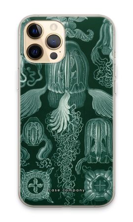 Haeckel Cubomedusae