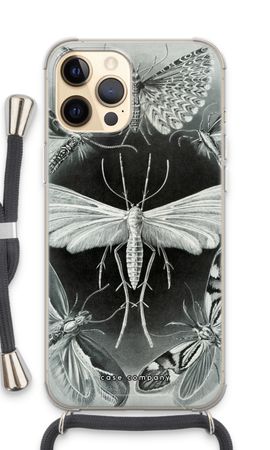 Haeckel Tineida
