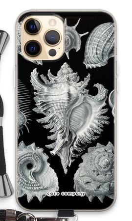 Haeckel Prosobranchia