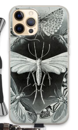 Haeckel Tineida