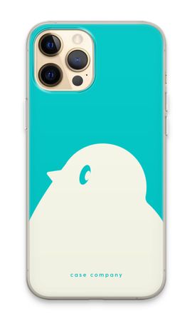 BIG Robin 2