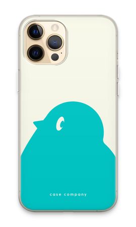 BIG Robin 1