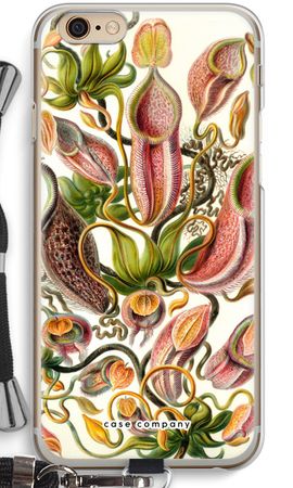 Haeckel Nepenthaceae