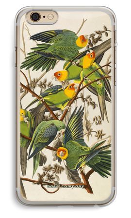 Carolina Parrot