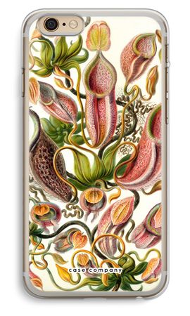 Haeckel Nepenthaceae