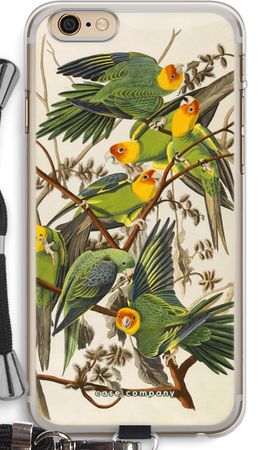 Carolina Parrot