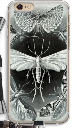 Haeckel Tineida