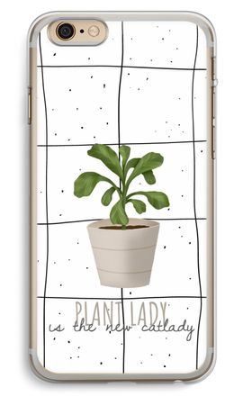 Houseplant on windowpane