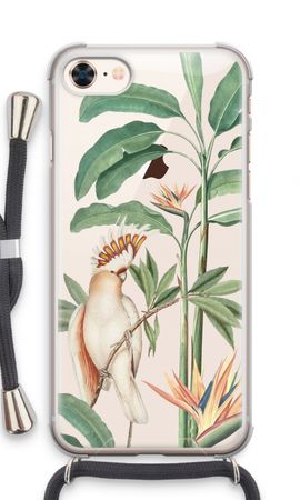 Tropical Parrot