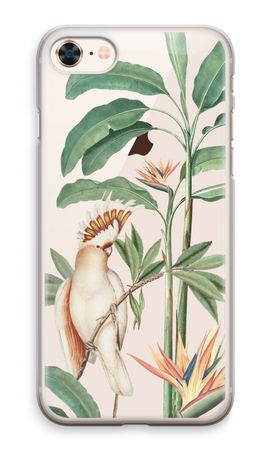 Tropical Parrot