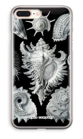 Haeckel Prosobranchia