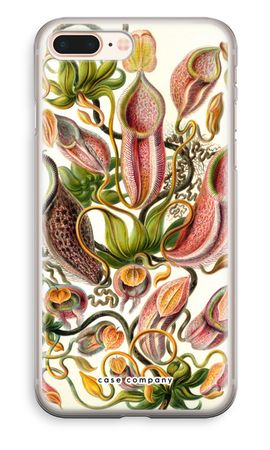 Haeckel Nepenthaceae