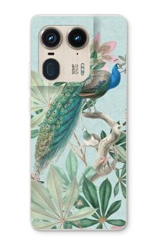 Paradise Garden Peacock