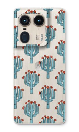 Cacti
