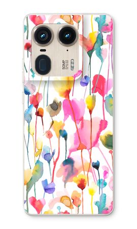 Wild Colorful Flowers