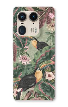 Tropical jungle toucan