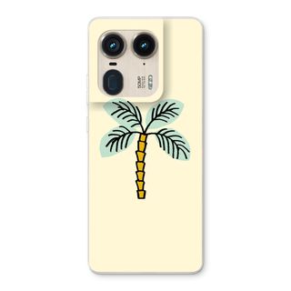 Palmera