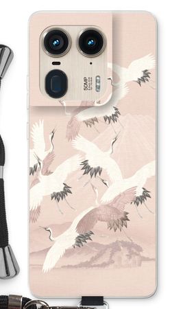 Japanese Crane Birds