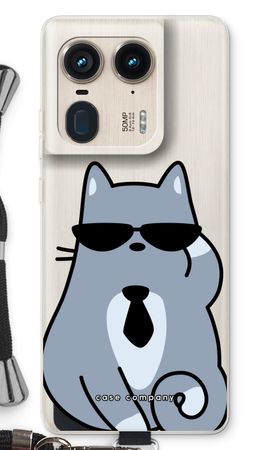 Cool cat