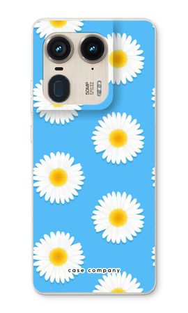 Daisies