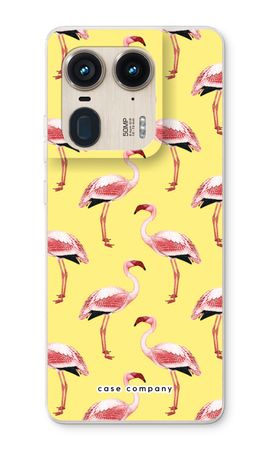 Flamingos yellow