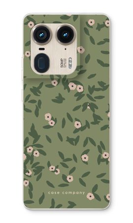 Olive Bloom