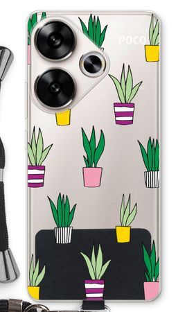 Sanseveria
