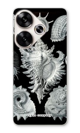 Haeckel Prosobranchia