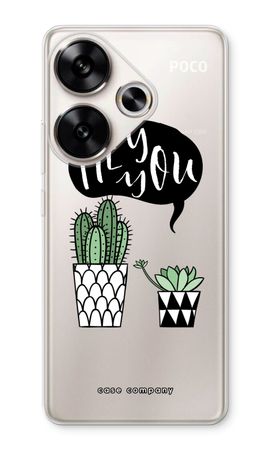 Hey you cactus