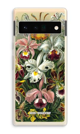 Haeckel Orchidae