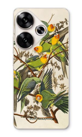 Carolina Parrot