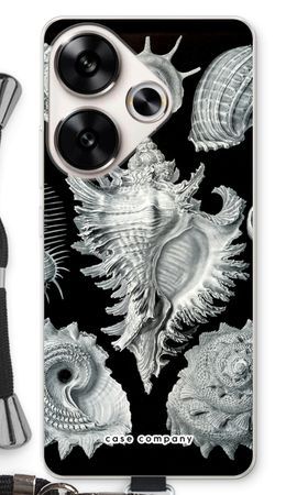 Haeckel Prosobranchia