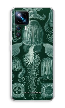 Haeckel Cubomedusae