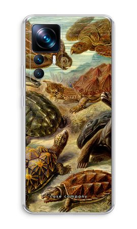 Haeckel Chelonia